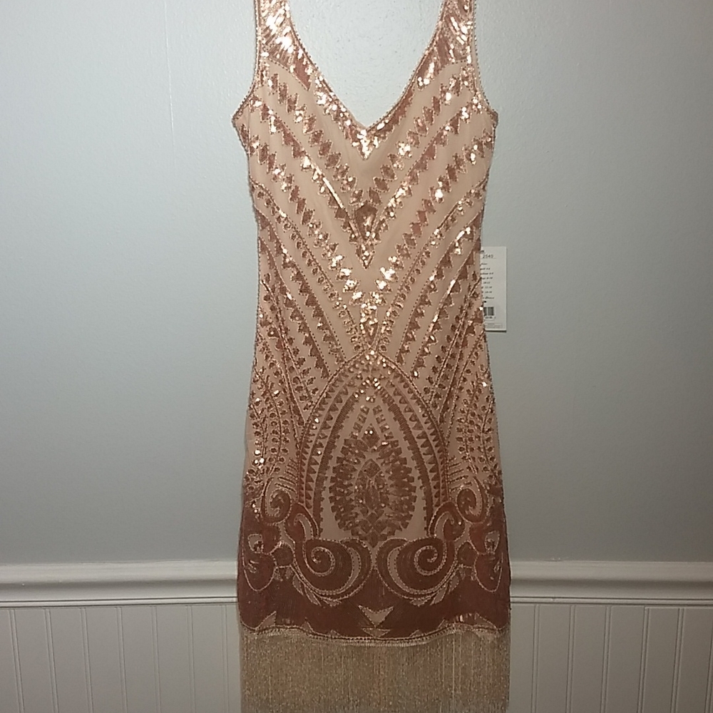 Blush colored beaded and sequined Deco style dress NWT size 8